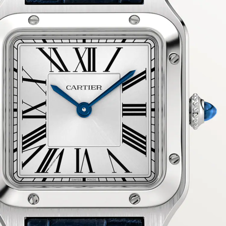 Cartier SANTOS-DUMONT Blue Strap 38mm - Image 10