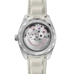 OMEGA Seamaster Aqua Terra 41mm Silver Dial Stainless Steel Strap 220.12.41.21.02.005