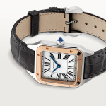 Cartier SANTOS-DUMONT Rose Gold MIx 43.5mm