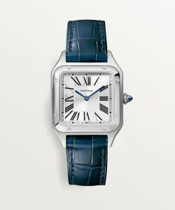 Cartier SANTOS-DUMONT Blue Strap 38mm