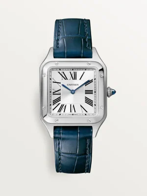 Cartier SANTOS-DUMONT Blue Strap 38mm