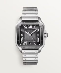 Cartier SANTOS GRAY 39.8mm
