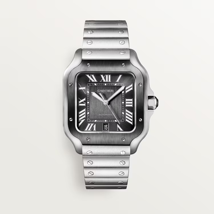 Cartier SANTOS GRAY 39.8mm