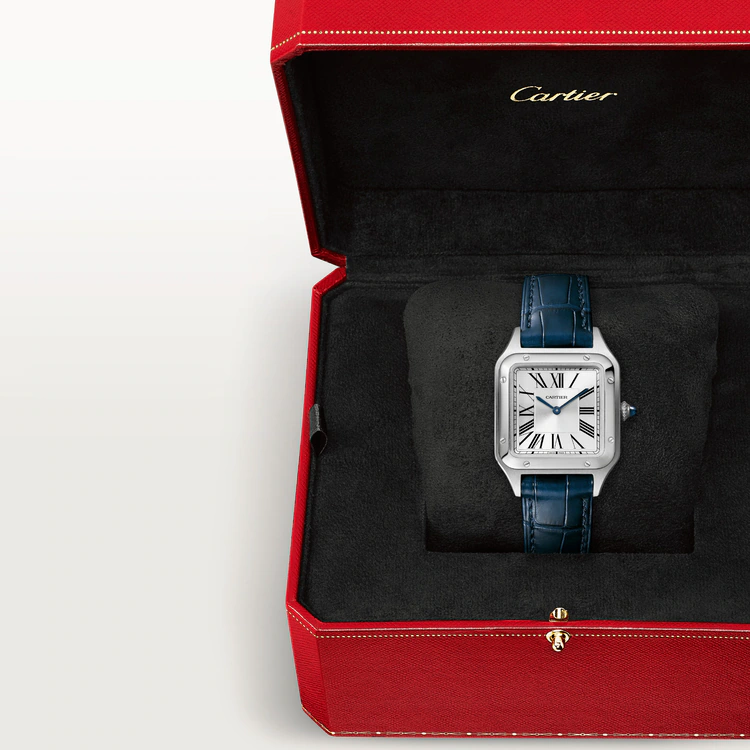 Cartier SANTOS-DUMONT Blue Strap 38mm - Image 11