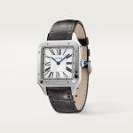 Cartier SANTOS-DUMONT 46mm