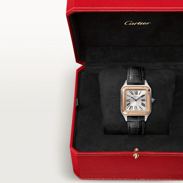 Cartier SANTOS-DUMONT Rose Gold MIx 43.5mm
