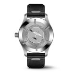 IWC Pilot's Mark XX 40mm Mens Watch IW328201