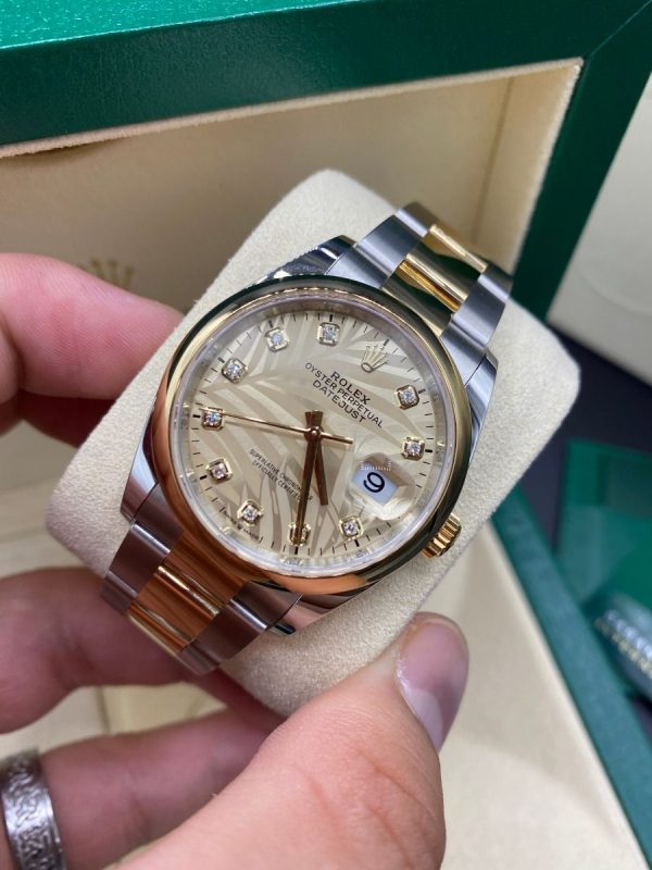 Rolex  Datejust 36mm 126203 Golden Palm Dial Domed Bezel Oyster Bracelet
