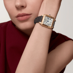 Cartier SANTOS-DUMONT RoseGoldMix 38mm