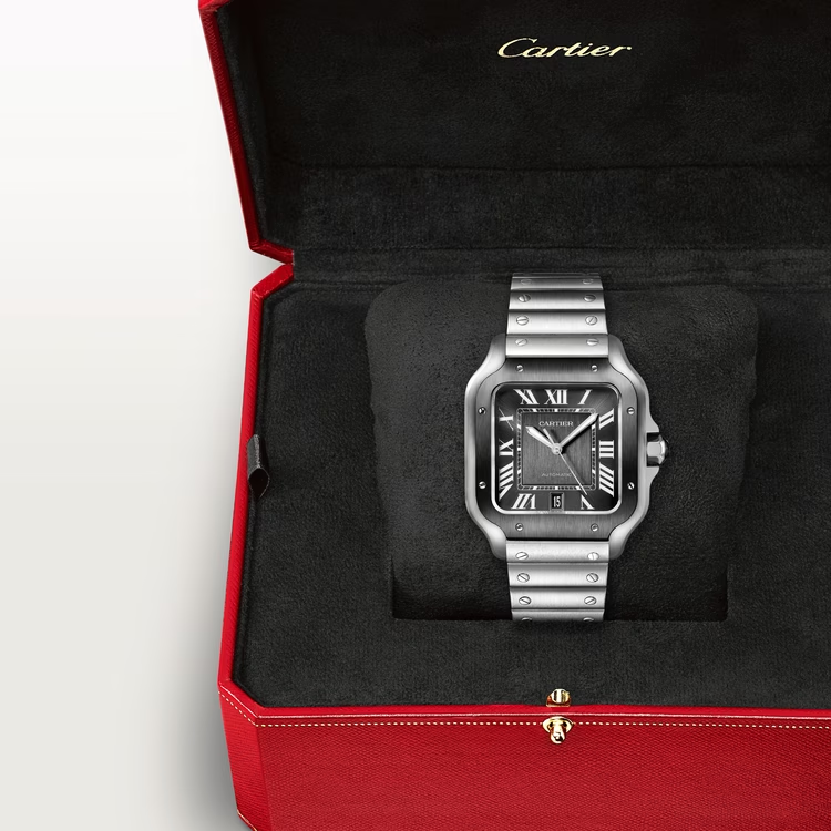 Cartier SANTOS GRAY 39.8mm - Image 7