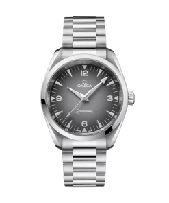 Omega Seamaster Railmaster Automatic 38mm 235.10.38.20.06.001