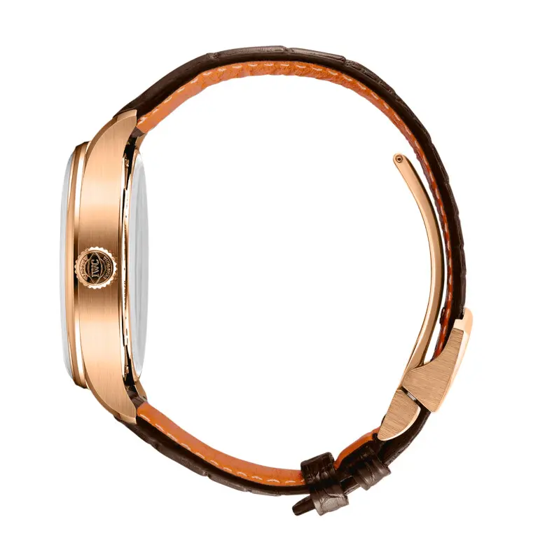 IWC Portugieser Automatic 42mm IW501706 - Image 3