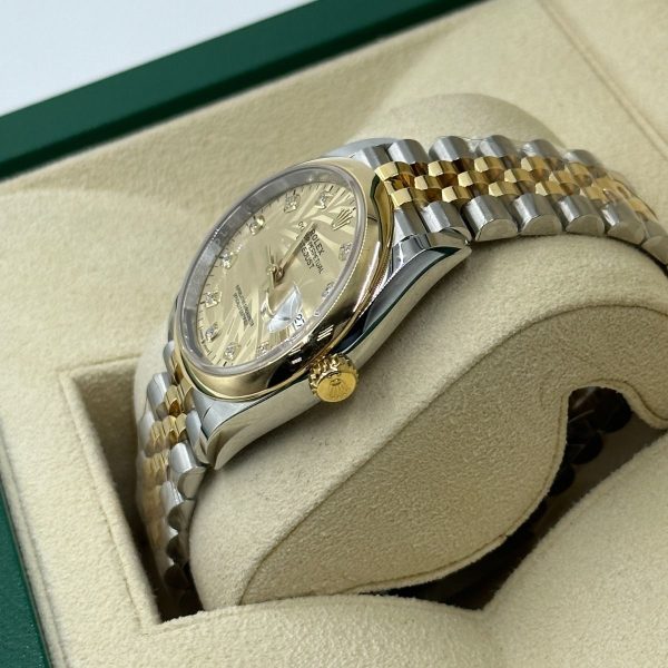 Rolex  Datejust 36mm 126203 Golden Palm Dial Domed Bezel Oyster Bracelet