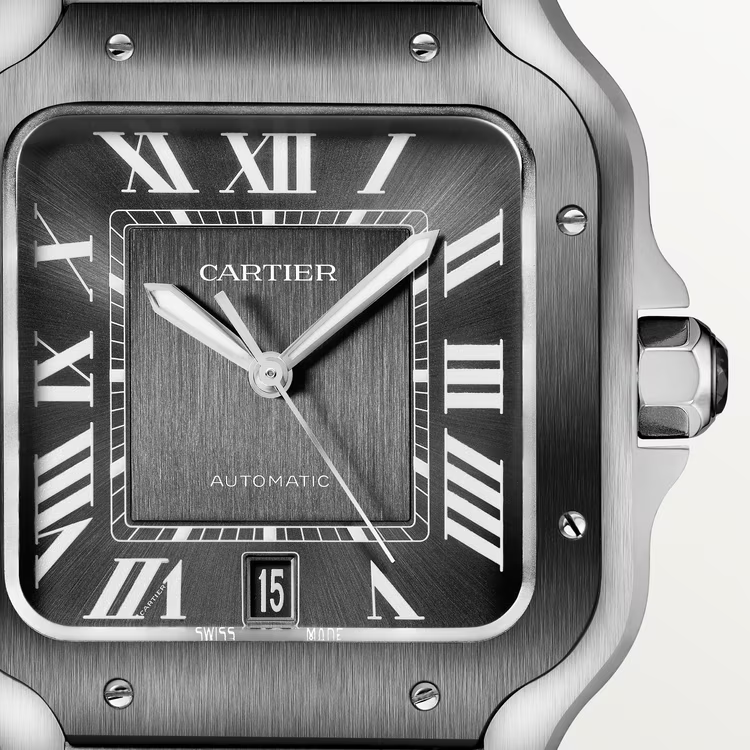 Cartier SANTOS GRAY 39.8mm - Image 6