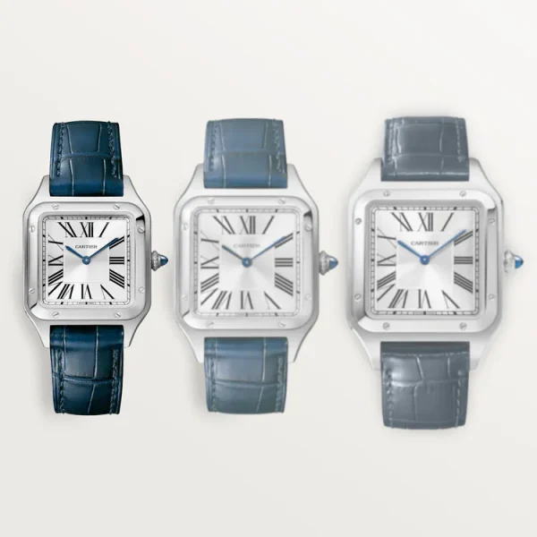 Cartier SANTOS-DUMONT Blue Strap 38mm