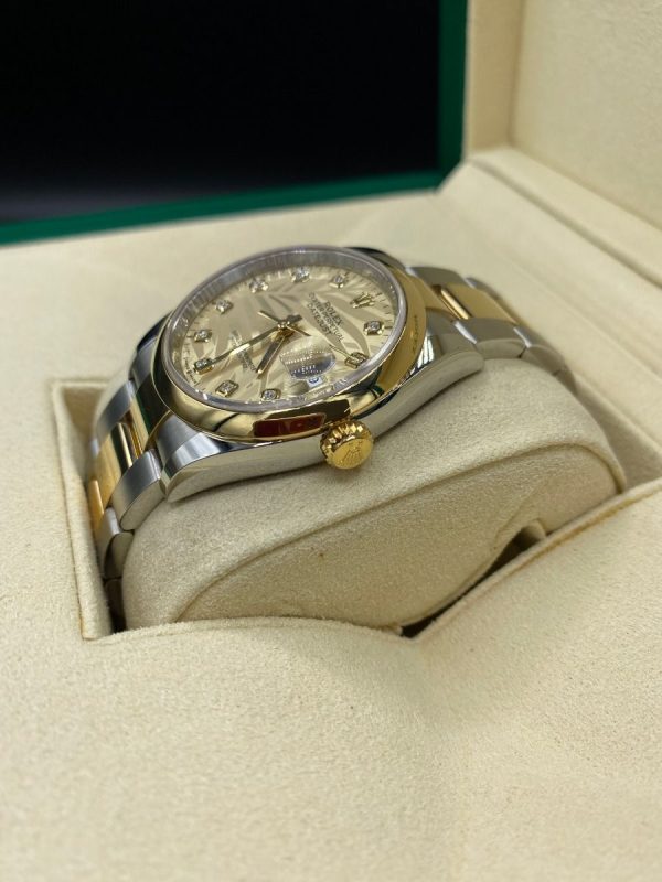 Rolex  Datejust 36mm 126203 Golden Palm Dial Domed Bezel Oyster Bracelet