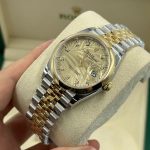 Rolex  Datejust 36mm 126203 Golden Palm Dial Domed Bezel Oyster Bracelet