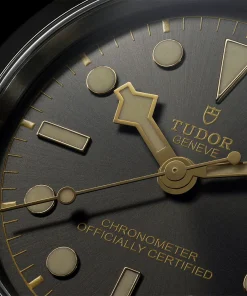 Alternative view of TUDOR Black Bay 41mm Anthracite Dial Men's Automatic Bracelet Watch M79680-0001