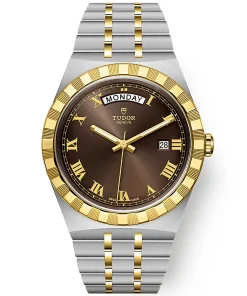 TUDOR Royal Date/Day 41mm S&G Brown Roman Dial Automatic Watch M28603-0007