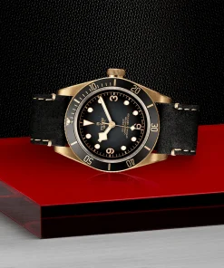 Alternative view of TUDOR Black Bay Bronze 43mm Slate Grey Dial Men's Automatic Leather Strap Watch M79250BA-0001