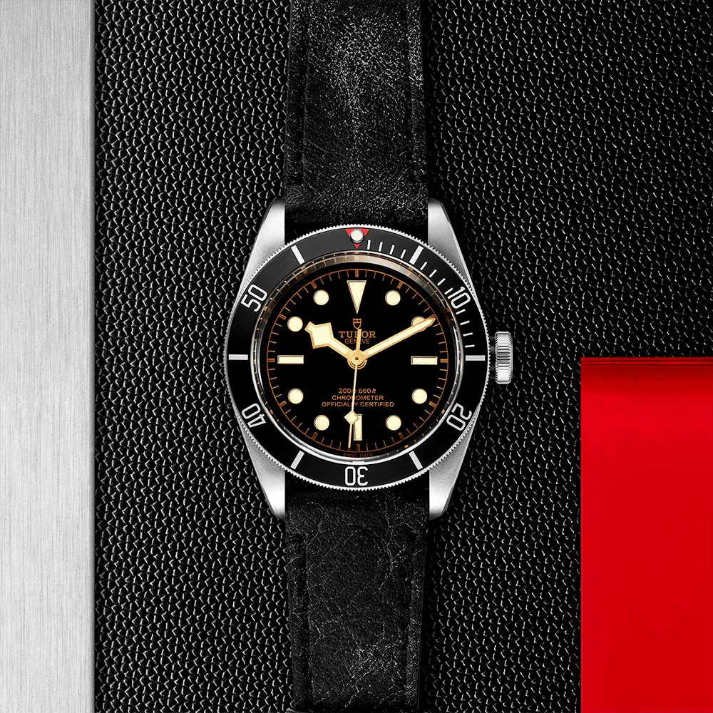 TUDOR Black Bay 41mm Black Dial & Bezel Men's Automatic Strap Watch M79230N-0008 - Image 3