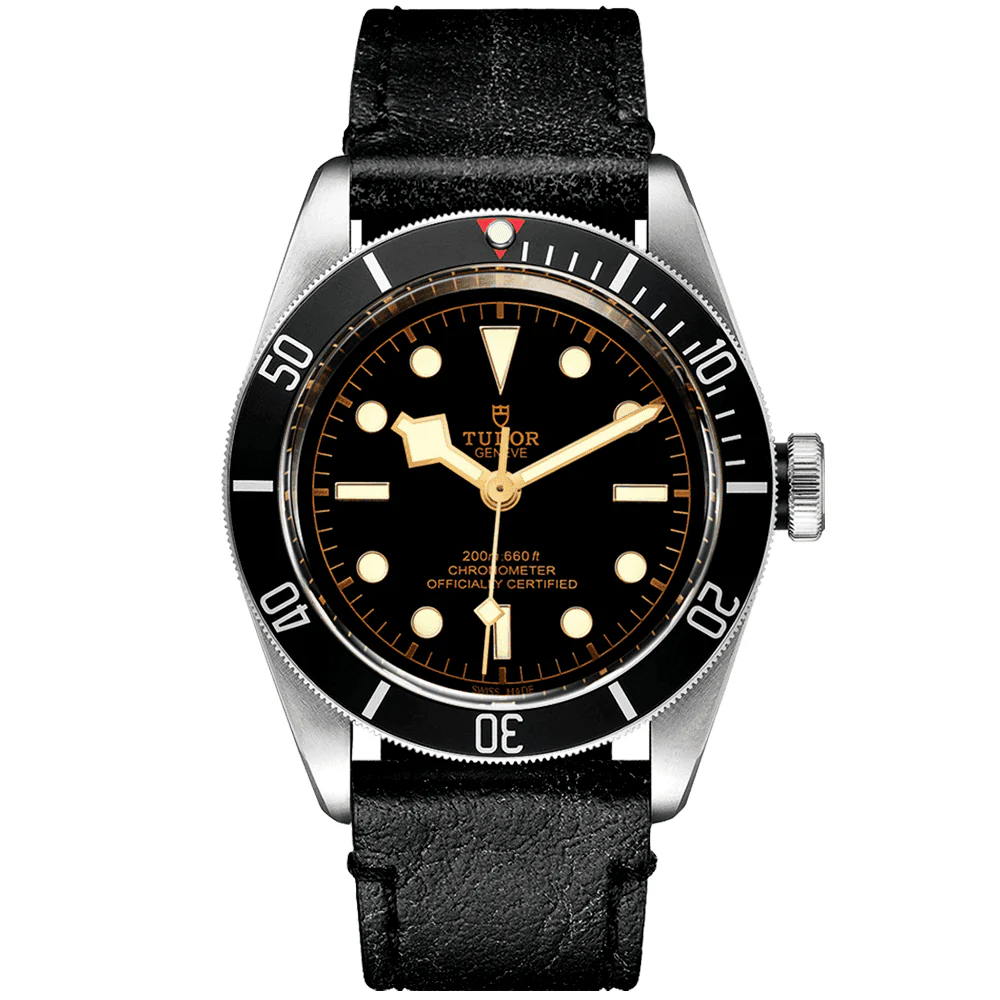 TUDOR Black Bay 41mm Black Dial & Bezel Men's Automatic Strap Watch M79230N-0008